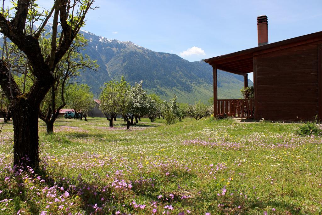 كونيتسا Villa Rustica المظهر الخارجي الصورة