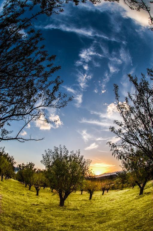 كونيتسا Villa Rustica المظهر الخارجي الصورة